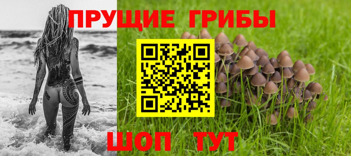 Псилоцибиновые грибы Psilocybine cubensis  Вход с VPN  Галлюциногенные грибы Psilocybe  Рославль 