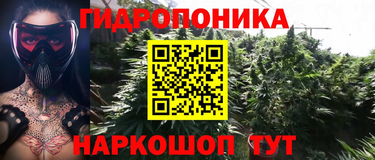 Конопля Amnesia Рославль